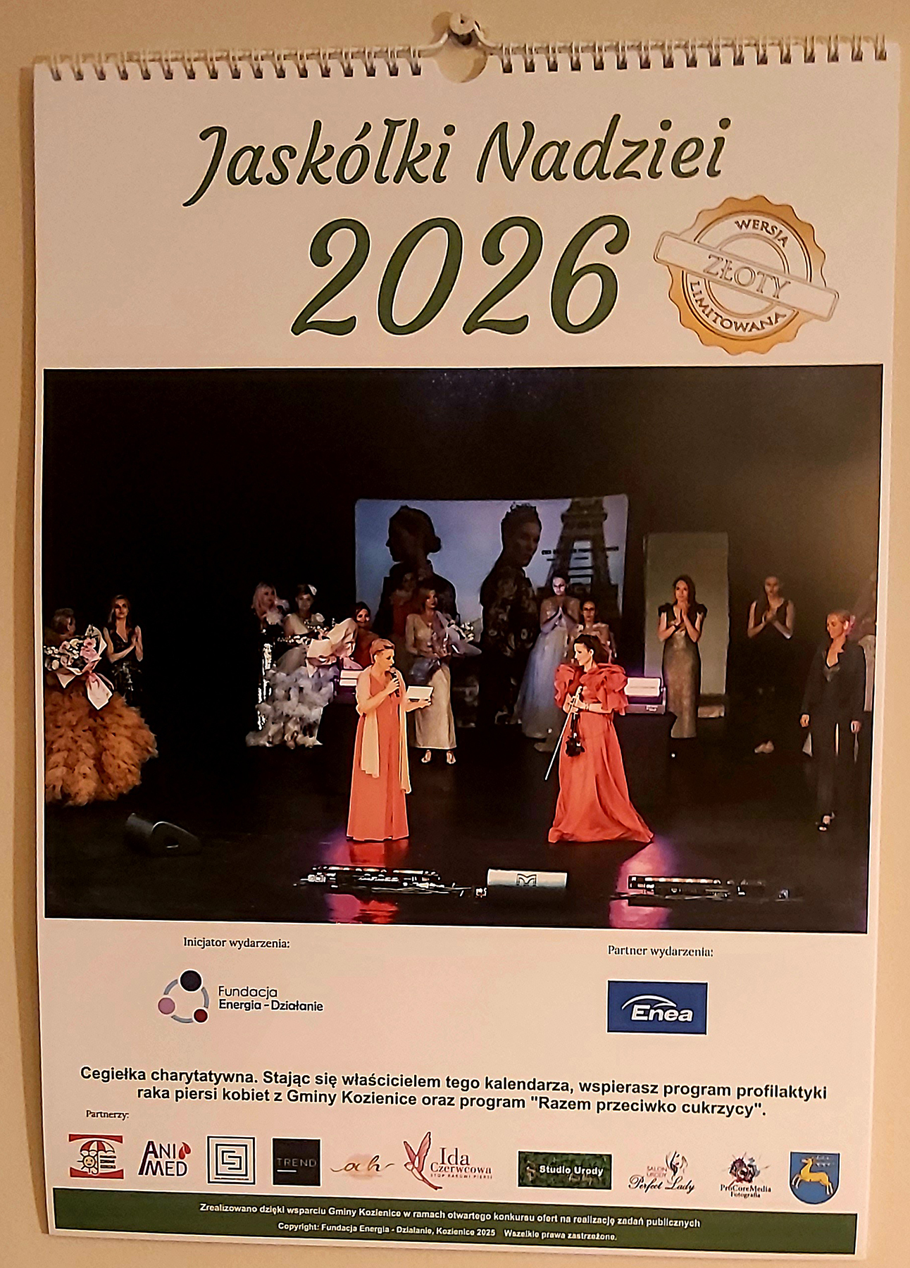 Wystawa poplenerowa Jaskółki Nadziei